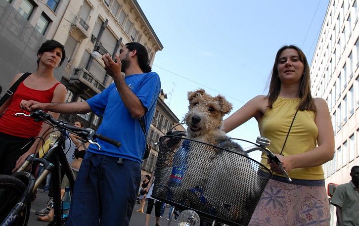 Fotografia - Cagnolino in bicicletta
