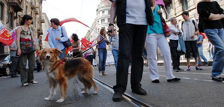 Fotografia - Cangnolino alla manifestazione