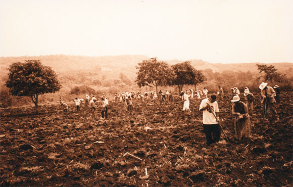 Semina - Fotografia del Messico