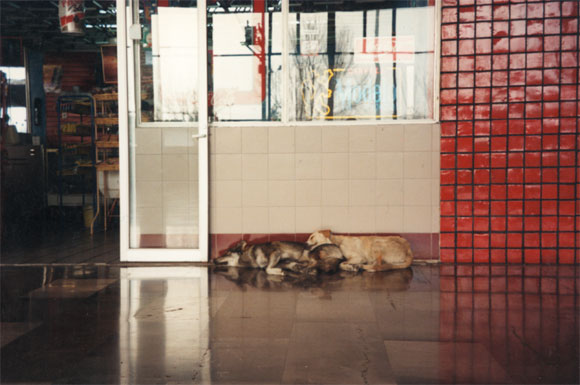 Stazione - Fotografia del Messico