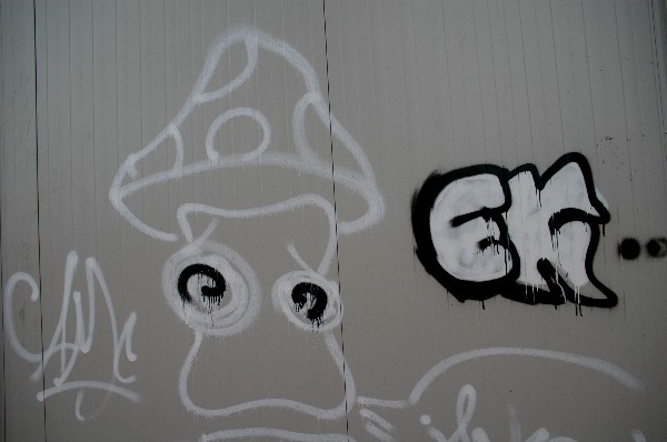 Fungo :: Murales