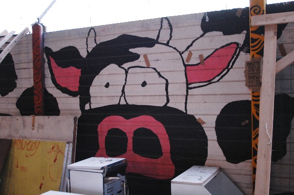 Mucca :: Murales