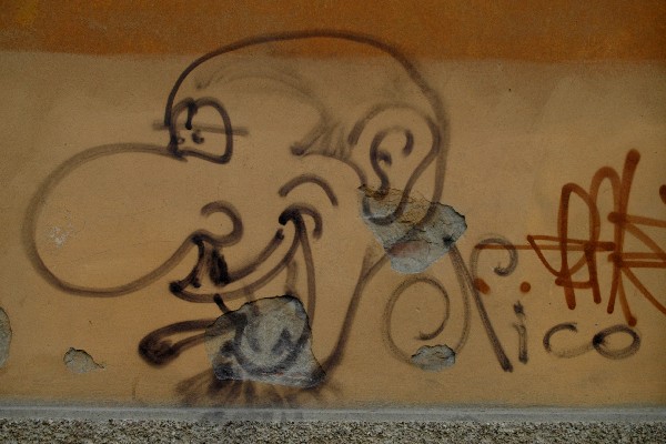 Nico - Murales di Bologna