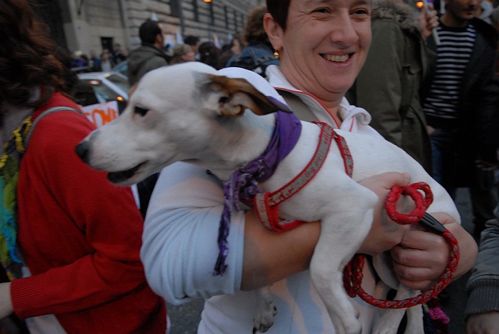 Cagnolino alla manifestazione - Fotografia del No Berlusconi Day