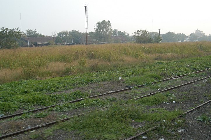 Campo