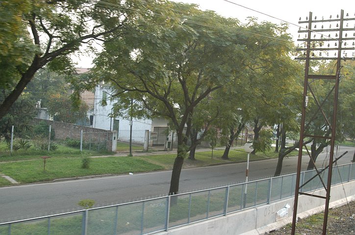 Palo luce