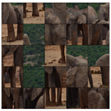 Mega Puzzle