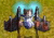 Star Ship - Videogioco Combattimento Aereo