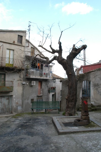 Via Onorevole Luigi di Francia fontana - Santa Caterina dello Ionio