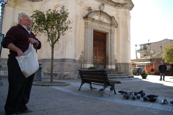 Le colombe mangiano - Fotografia di Stilo