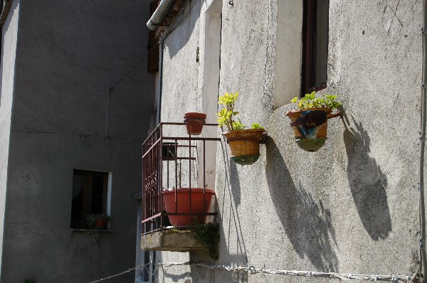 Adorni - Fotografia di Stilo