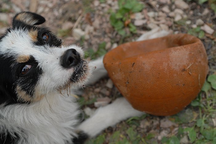 Il pallone è mio :: Arte Bastardo