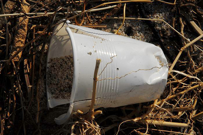 Bicchier plastica nella spiaggia