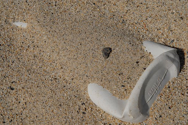 Contenitore di plastica