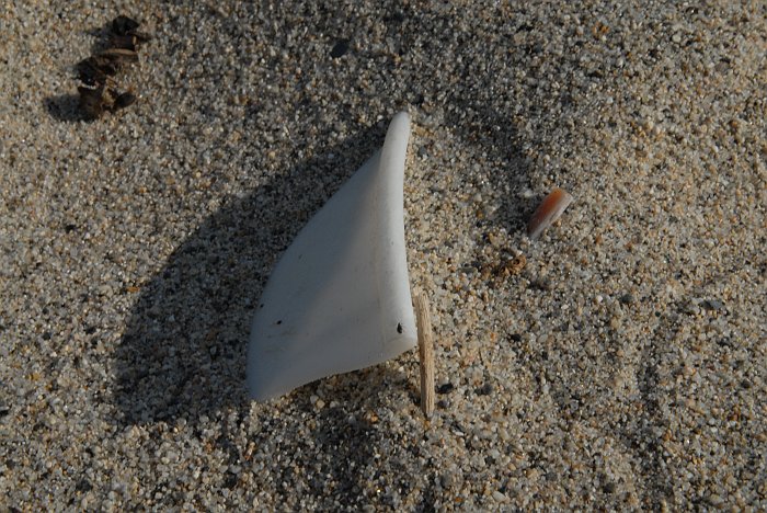 Pezzo plastica bianca