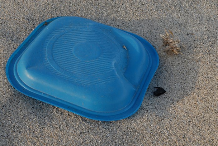 Piatto plastica azzurro