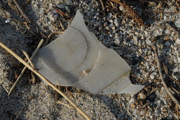 Plastica nella sabbia