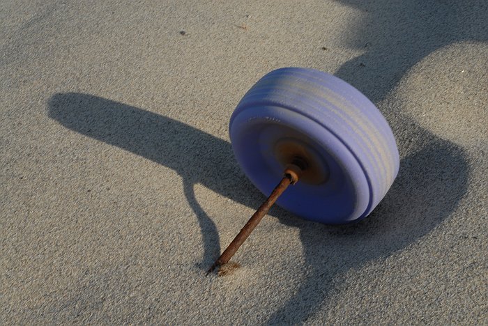 Ruota viola