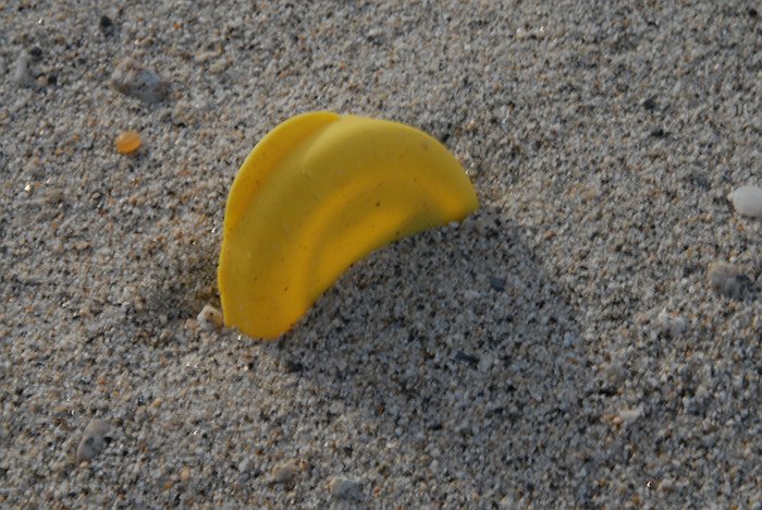 Tappino giallo