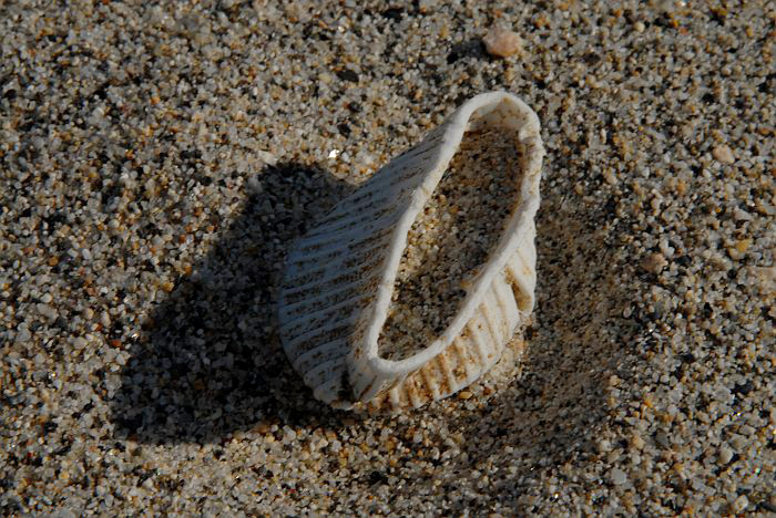 Tappo schiacciato